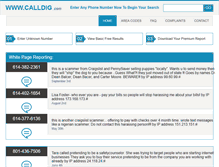 Tablet Screenshot of calldig.com
